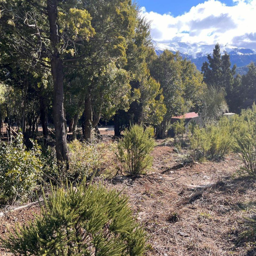 Lomas del Cauquén Lote con Proyecto Aprobado