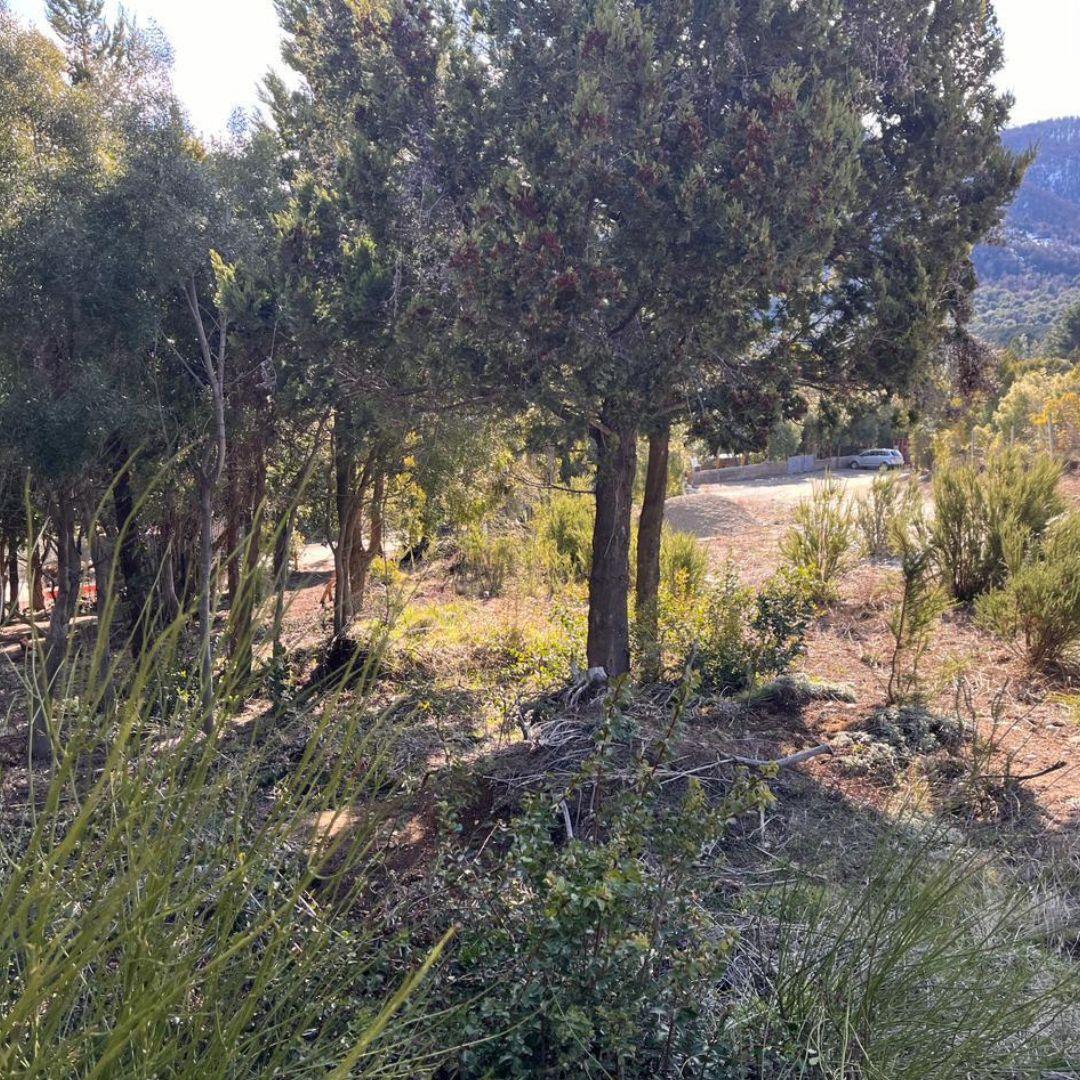 Lomas del Cauquén Lote con Proyecto Aprobado