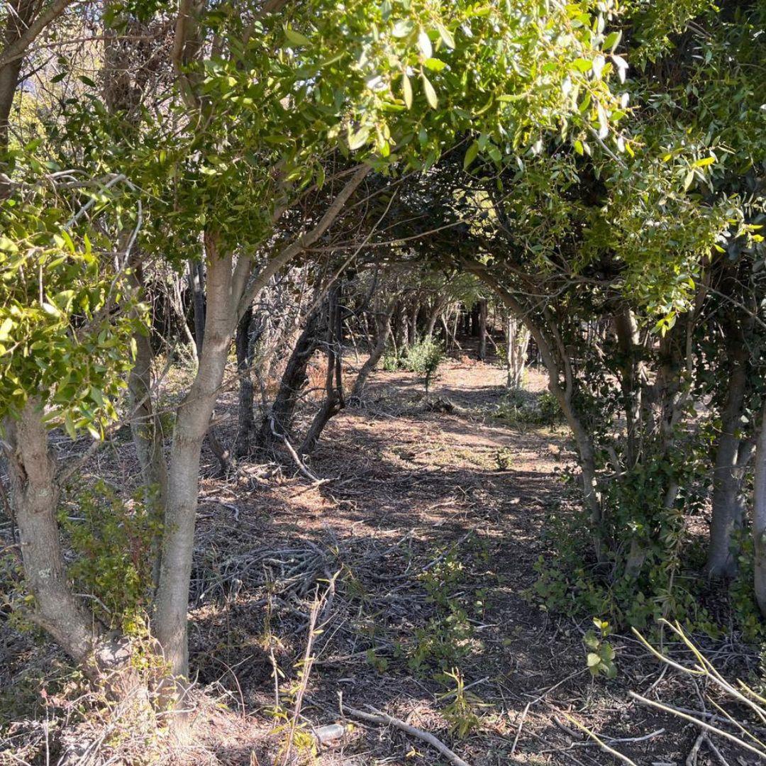 Lomas del Cauquén Lote con Proyecto Aprobado