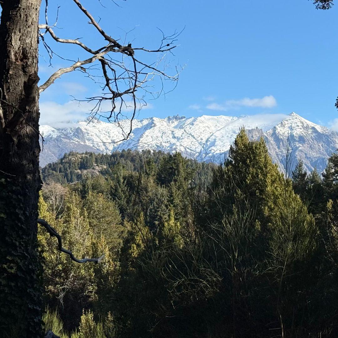 Lote Estratégico en Península San Pedro Bosque Vistas y Comodidad Urbana