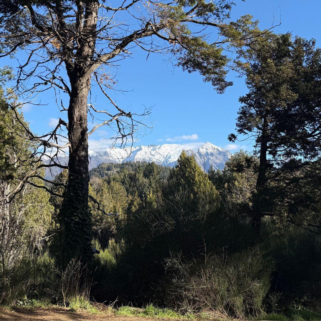 Lote Estratégico en Península San Pedro Bosque Vistas y Comodidad Urbana