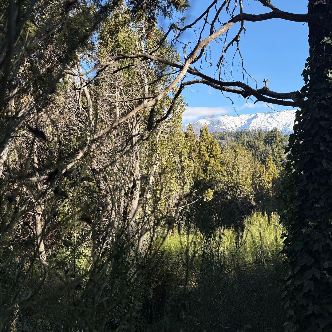 Lote Estratégico en Península San Pedro Bosque Vistas y Comodidad Urbana