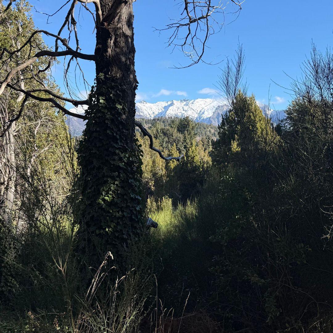 Lote Estratégico en Península San Pedro Bosque Vistas y Comodidad Urbana