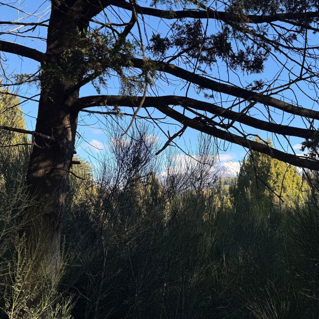 Lote Estratégico en Península San Pedro Bosque Vistas y Comodidad Urbana