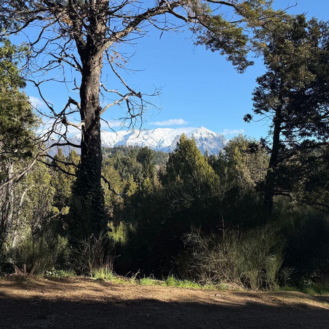 Lote Estratégico en Península San Pedro Bosque Vistas y Comodidad Urbana