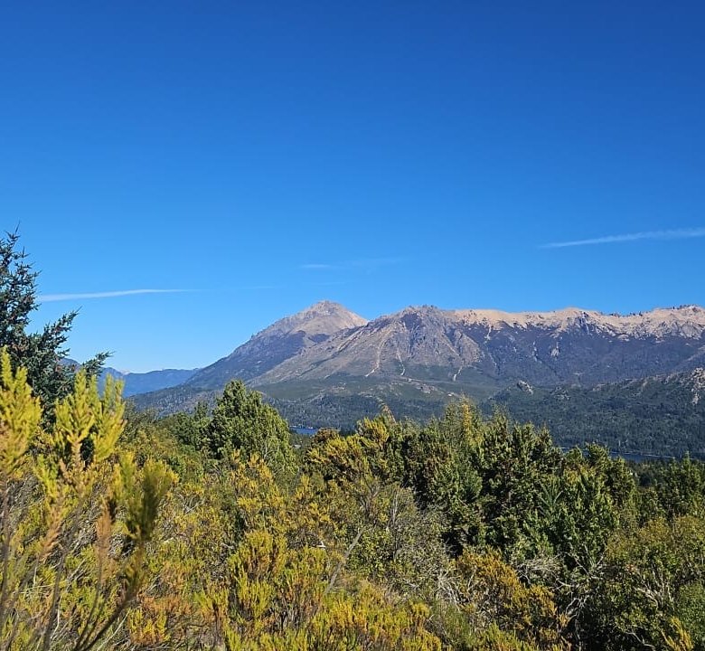 Lote Premium con Vistas 360 al Lago y Cerros