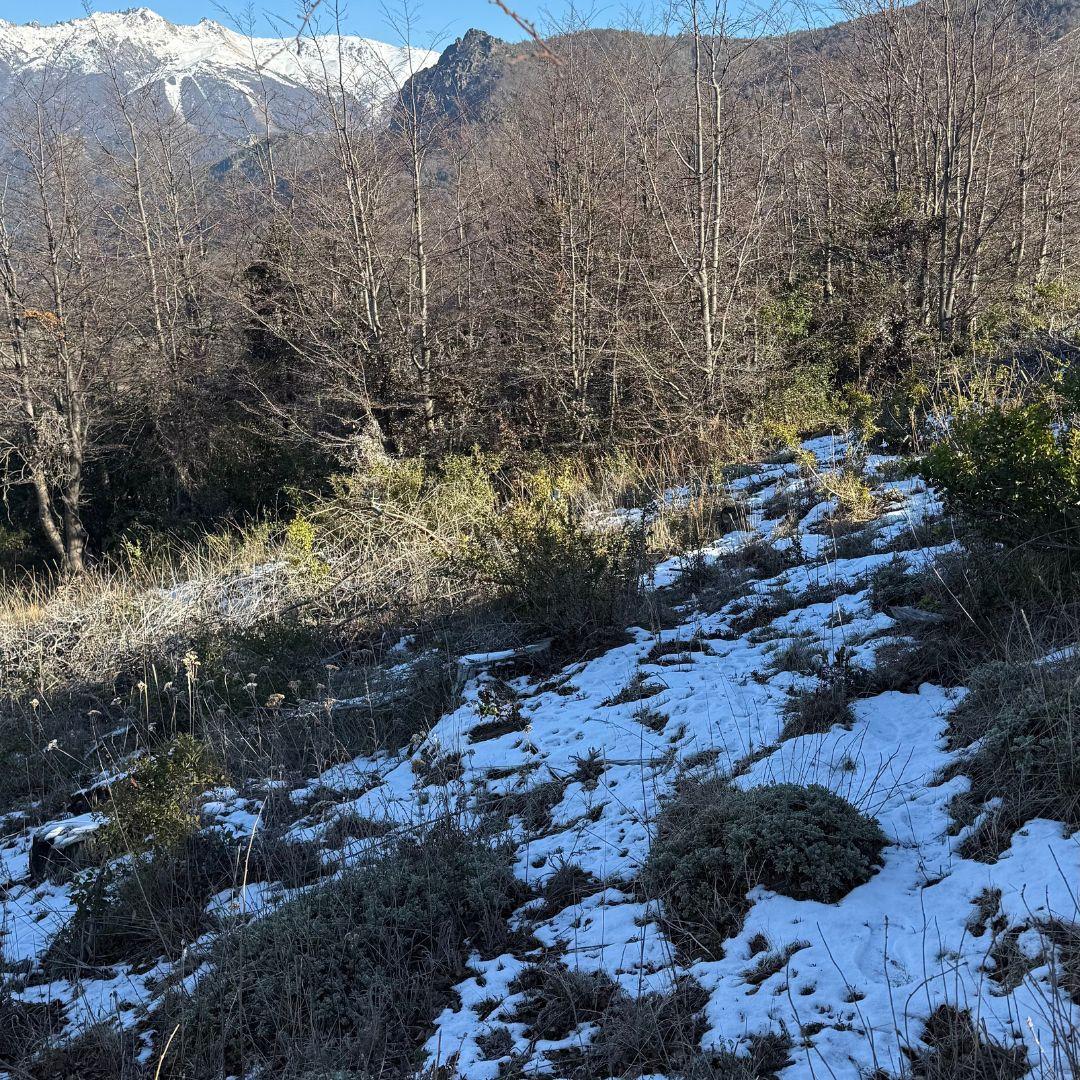 Única Parcela Disponible en la Cota Más Alta de Altos de Arelauquen Vista 360 - 80A5