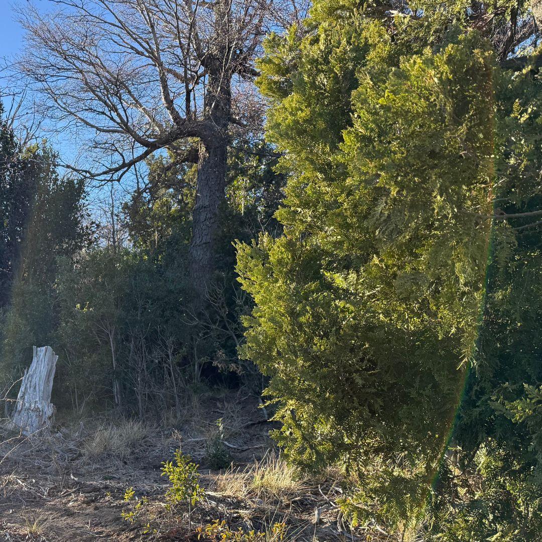 Única Parcela Disponible en la Cota Más Alta de Altos de Arelauquen Vista 360 - 80A5