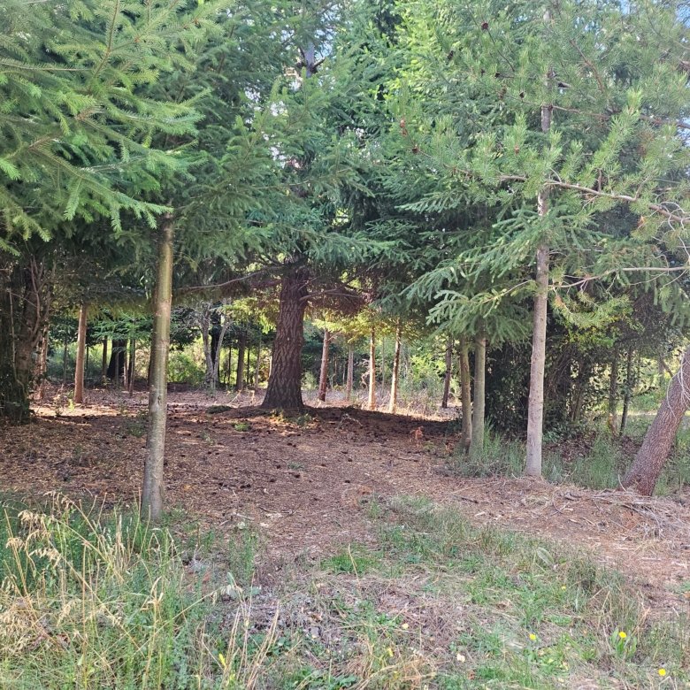 Lote Exclusivo en La Rinconada Vistas al Cerro Ventana y Topografía Plana - U5