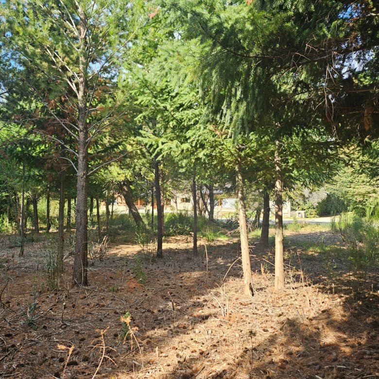 Lote Exclusivo en La Rinconada Vistas al Cerro Ventana y Topografía Plana - U5