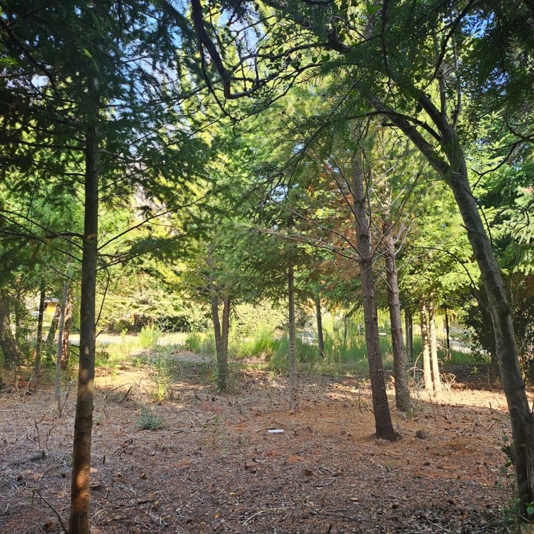 Lote Exclusivo en La Rinconada Vistas al Cerro Ventana y Topografía Plana - U5