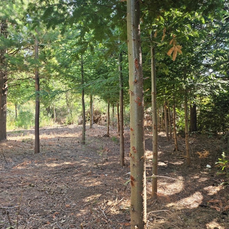 Lote Exclusivo en La Rinconada Vistas al Cerro Ventana y Topografía Plana - U5