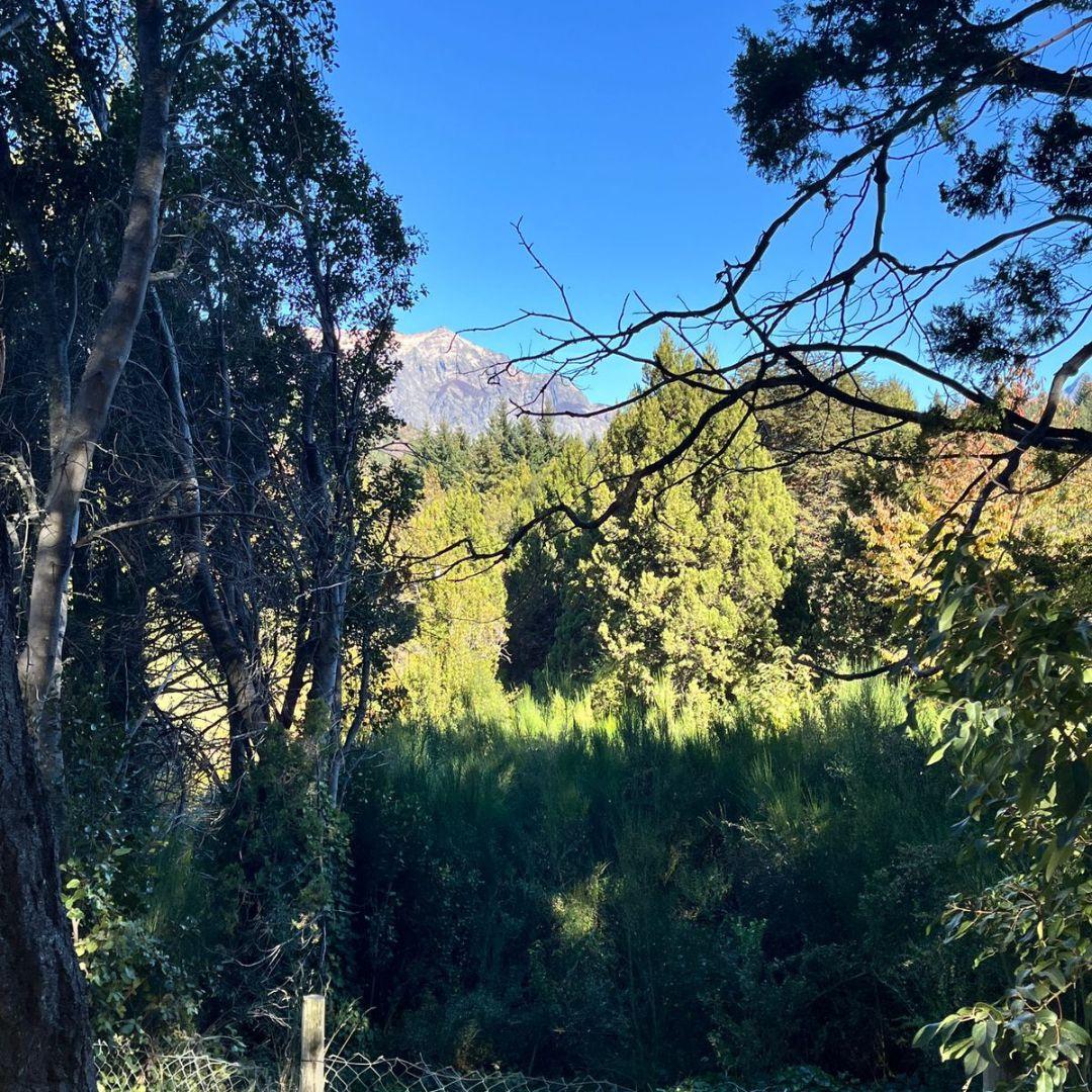 Lote Estratégico en Península San Pedro Bosque Vistas y Comodidad Urbana