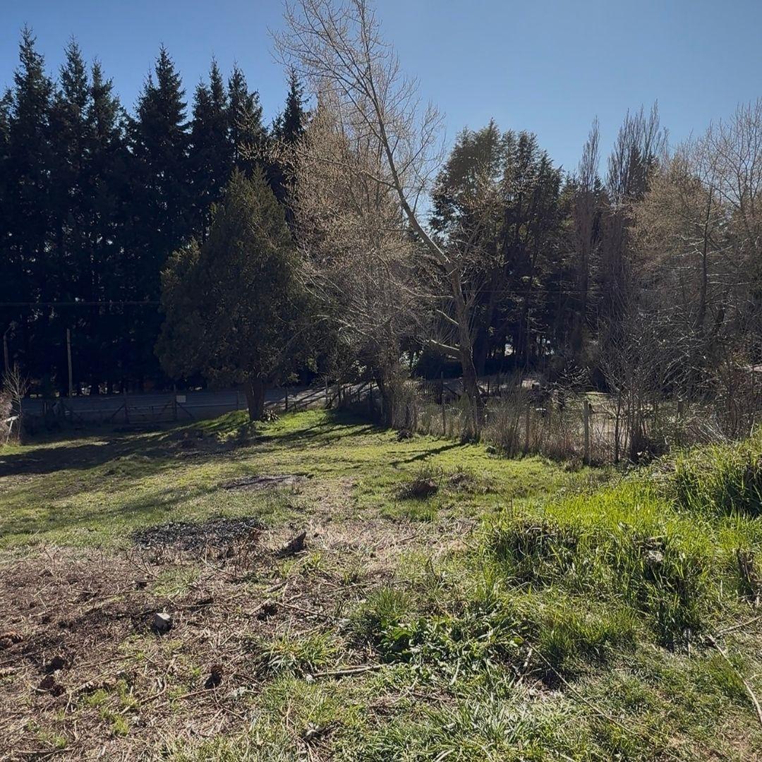 Lote Estratégico en Av Bustillo 800 m²