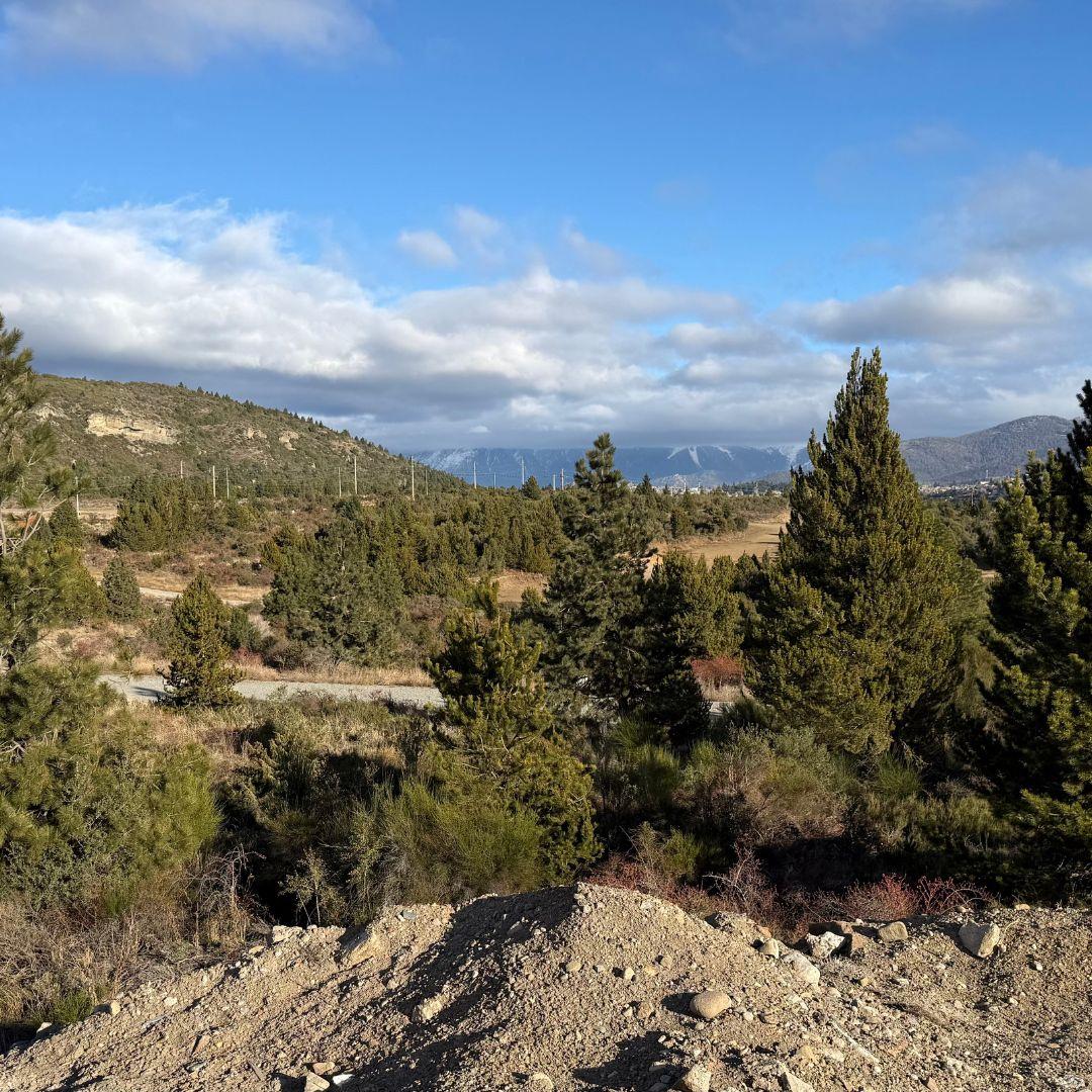 Lotes Estratégicos en Circunvalación y Esandi – 2.500 m² con Potencial Logístico e Industrial