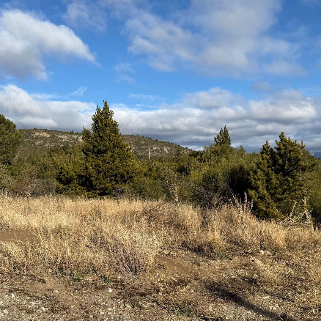 Lotes Estratégicos en Circunvalación y Esandi – 2.500 m² con Potencial Logístico e Industrial