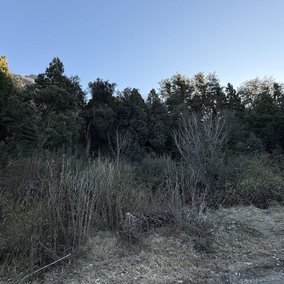 Lote Premium de Gran Superficie en Sector Exclusivo – Arelauquen A2-1