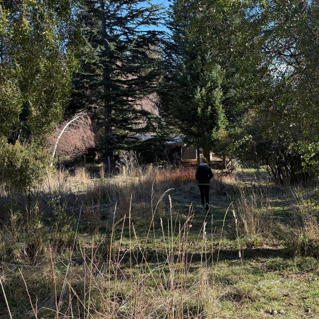 Lote Estratégico en Circuito Chico (Ruta 77) – Ideal Inversión Turística
