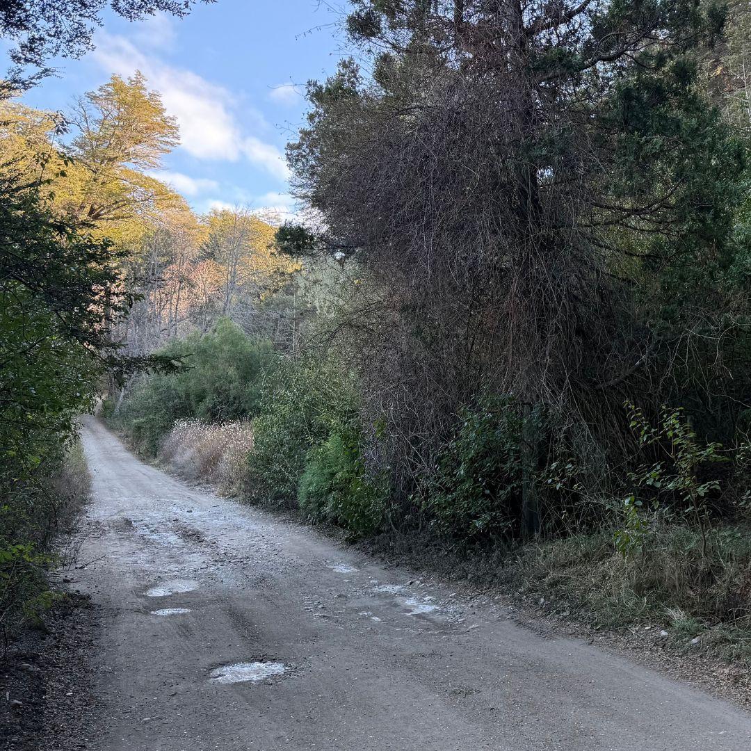 Lotes Residenciales en Laguna El Trébol Circuito Chico  