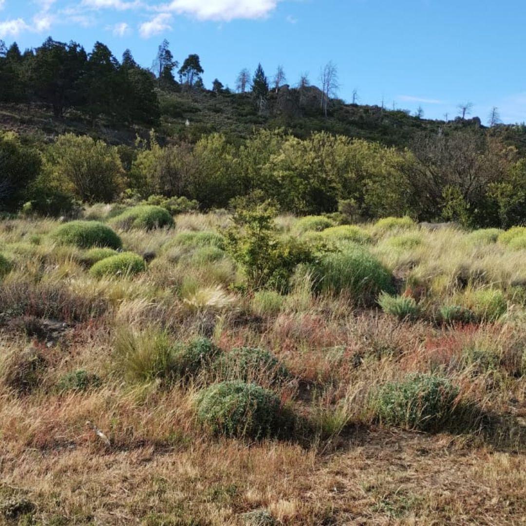 Excepcional Lote en Barrio Privado Barrancas de Dina Huapi
